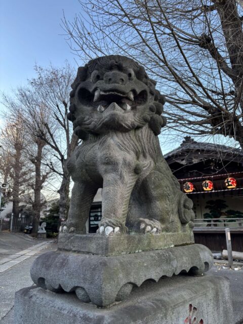 狛犬（瀧野川八幡神社）