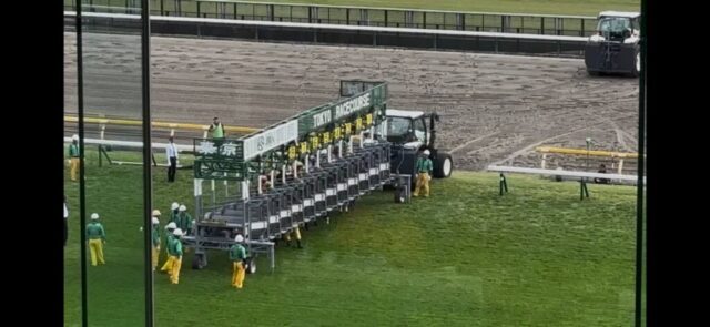 第９Ｒ　本栖湖特別　2,400メートル（芝）→「スタート前」