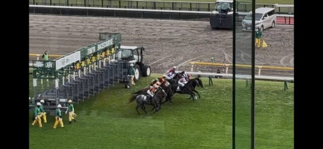 第９Ｒ　本栖湖特別　2,400メートル（芝）→「スタート」