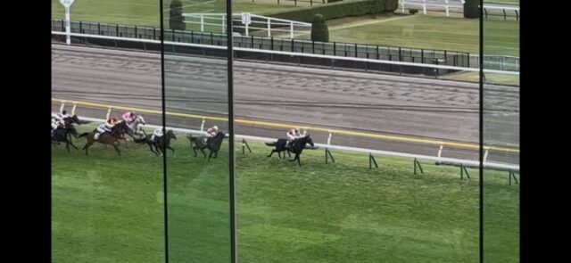 第９Ｒ　本栖湖特別　2,400メートル（芝）→「直線」