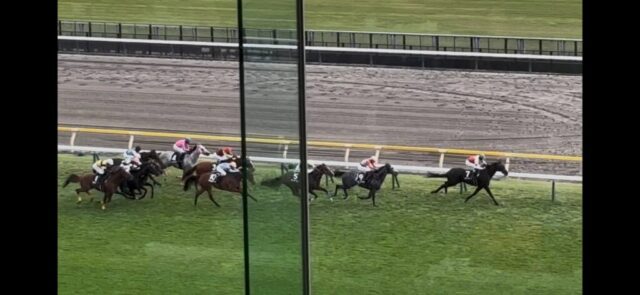 第９Ｒ　本栖湖特別　2,400メートル（芝）→「直線」②