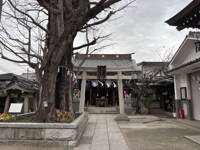鳥居→「参道」（飛木稲荷神社）