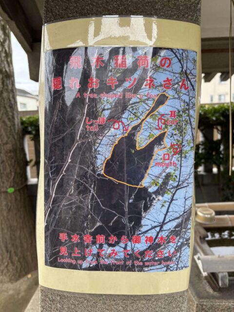 隠れキツネさん（飛木稲荷神社）