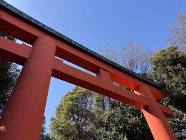 大鳥居②（井草八幡宮）