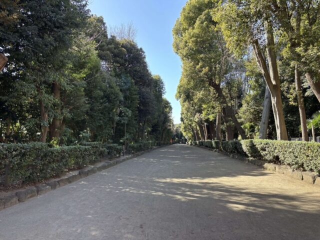 大鳥居→「東参道」（井草八幡宮）