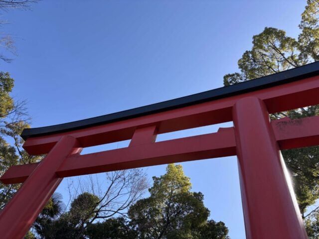 北鳥居②（井草八幡宮）