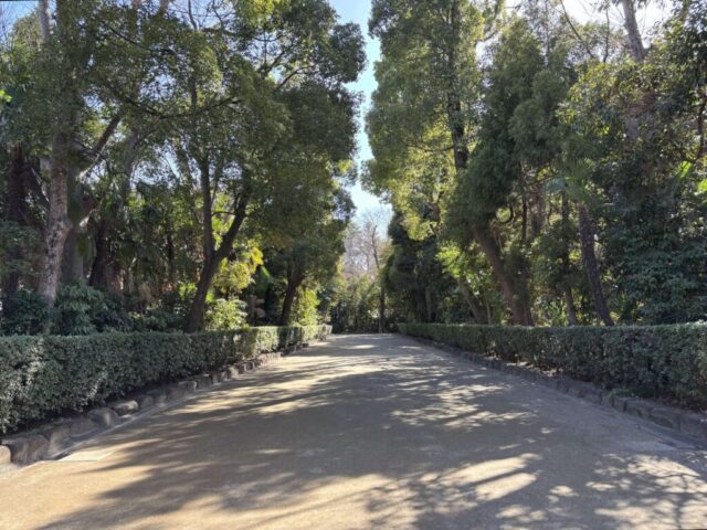 大鳥居→「北参道」（井草八幡宮）