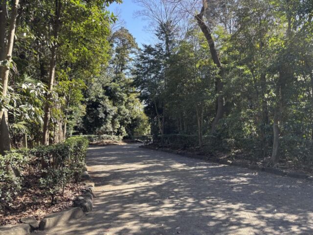 北参道（井草八幡宮）