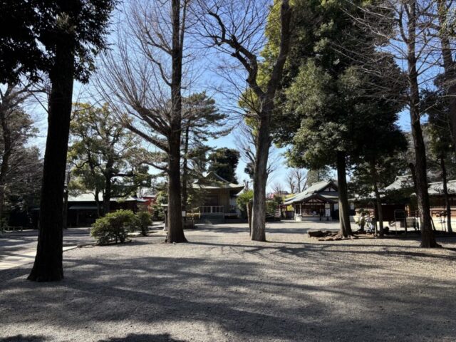 楼門→「正面」（井草八幡宮）
