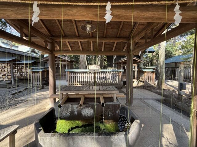 手水舎②（井草八幡宮）