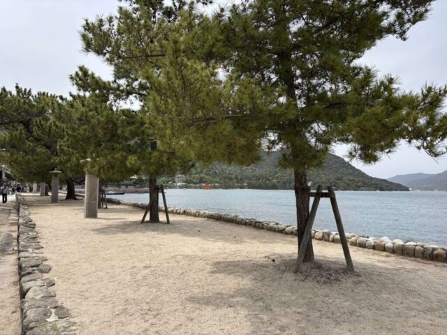 道中（宮島）