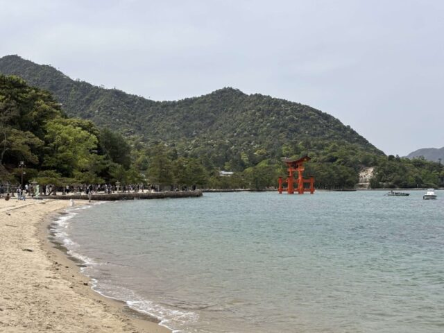 御笠浜→「大鳥居」（厳島神社）