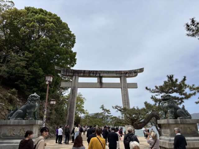 石鳥居 前（厳島神社）