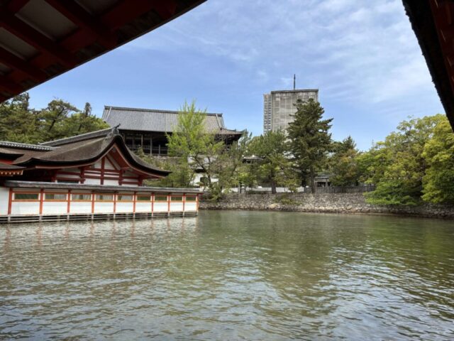 鏡の池→「千畳閣･五重塔」（厳島神社）