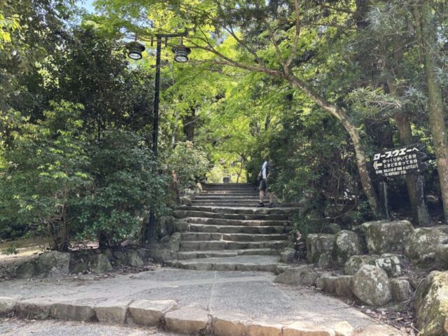 紅葉谷公園②（宮島）