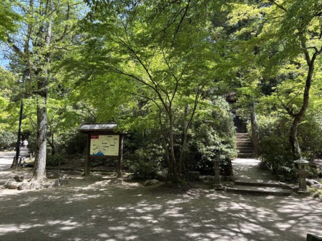 紅葉谷公園③（宮島）