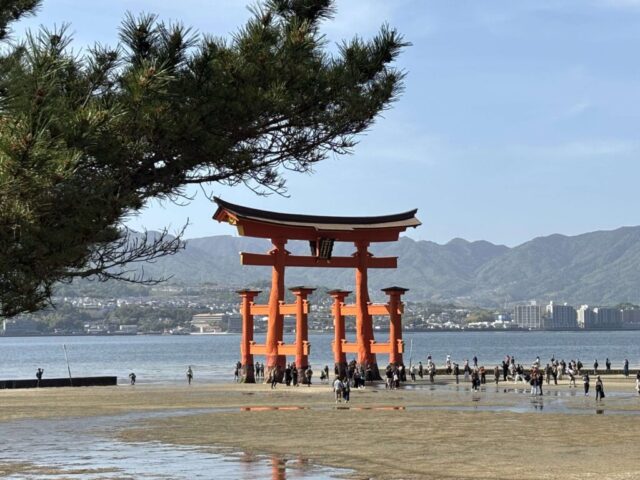大鳥居⑤（宮島）