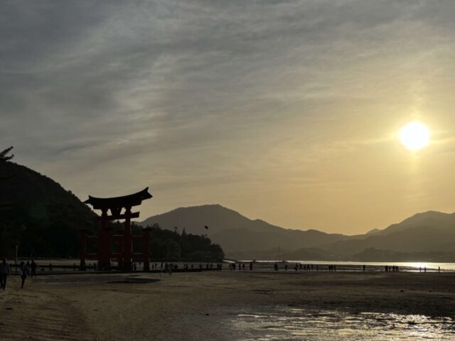 夕日と大鳥居（宮島）