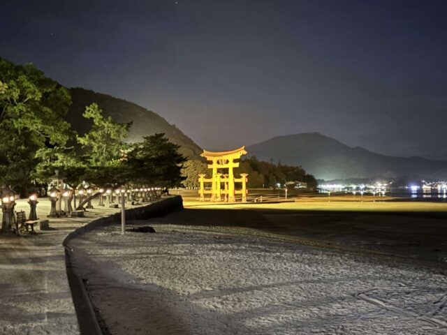 大鳥居・ライトアップ（宮島）