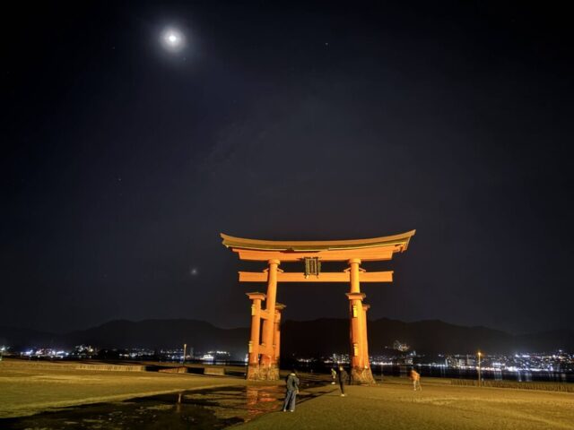 大鳥居・ライトアップ②（宮島）