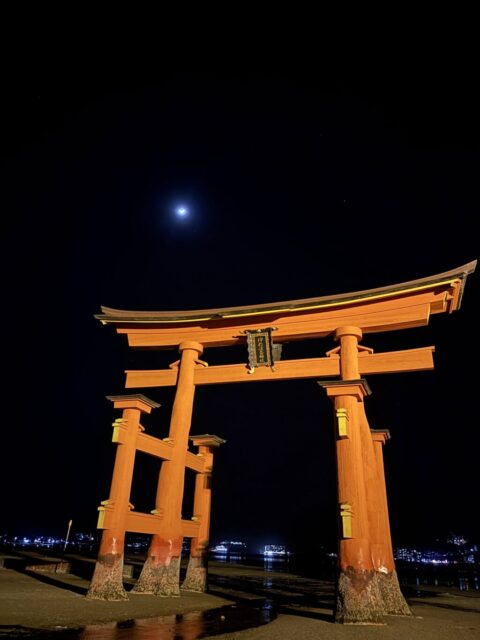 大鳥居・ライトアップ③（宮島）