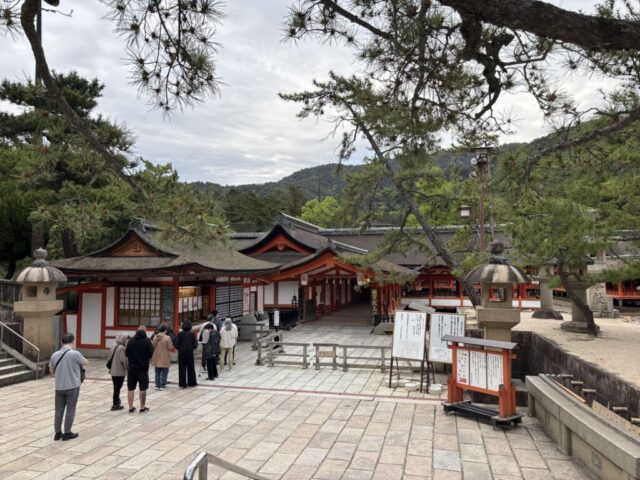 入口 前（厳島神社）
