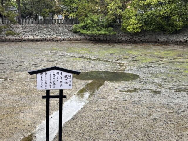 鏡の池②（厳島神社）