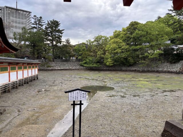 鏡の池（厳島神社）