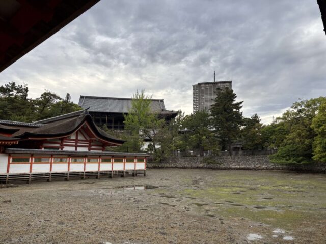 廻廊→「鏡の池」（厳島神社）