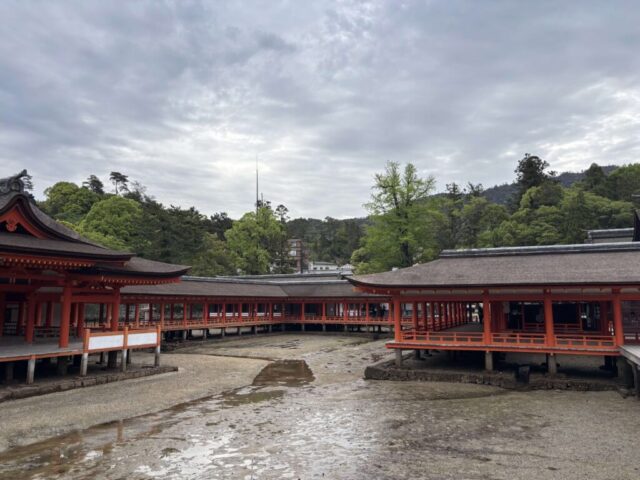 平舞台→「桝形」（厳島神社）