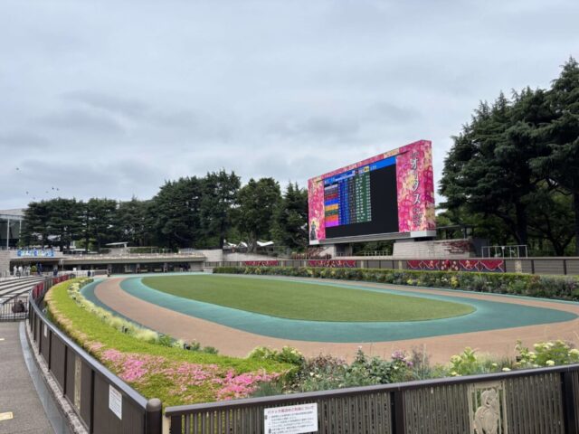 パドック(東京競馬場)