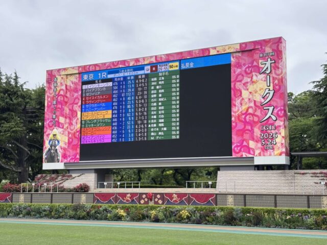 パドック②(東京競馬場)