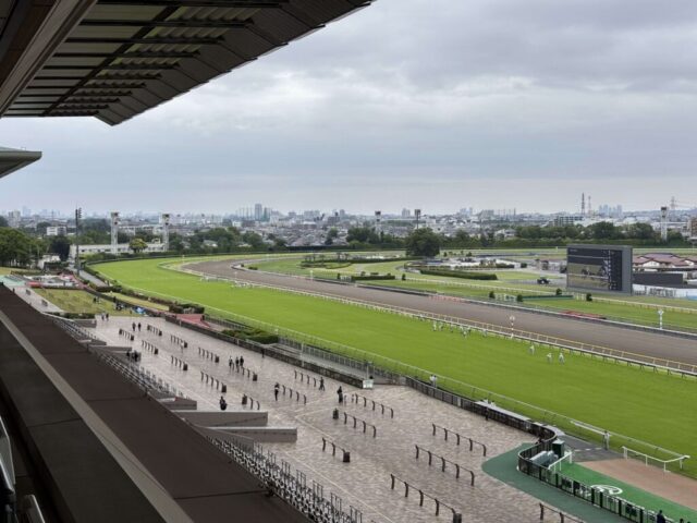 指定席→「左側」(東京競馬場)