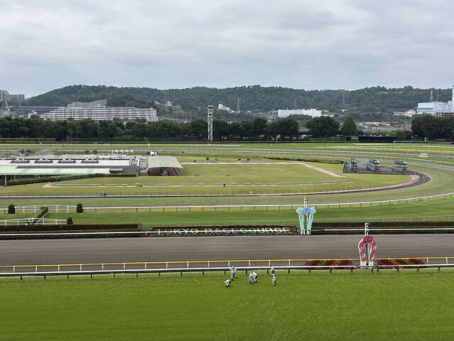 指定席→「正面」(東京競馬場)