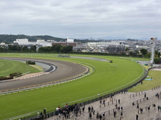指定席→「右側」(東京競馬場)