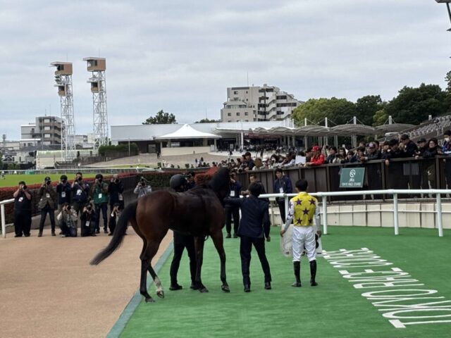 ウィナーズサークル(東京競馬場)