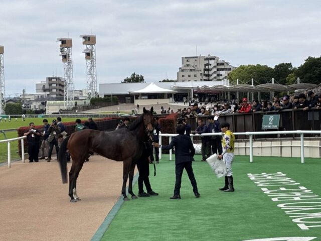 ウィナーズサークル②(東京競馬場)