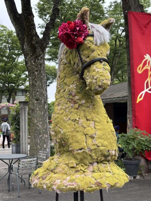 ローズガーデン⑦(東京競馬場)