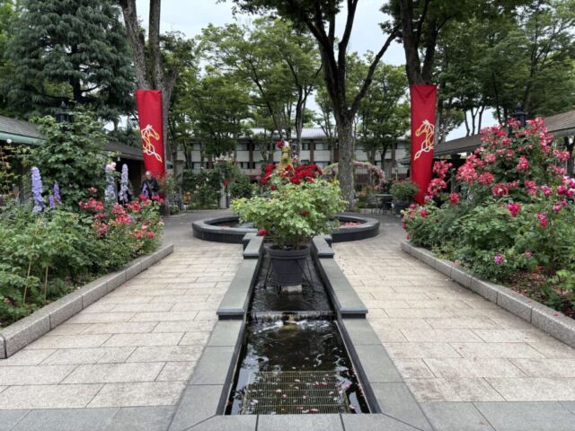 ローズガーデン⑤(東京競馬場)