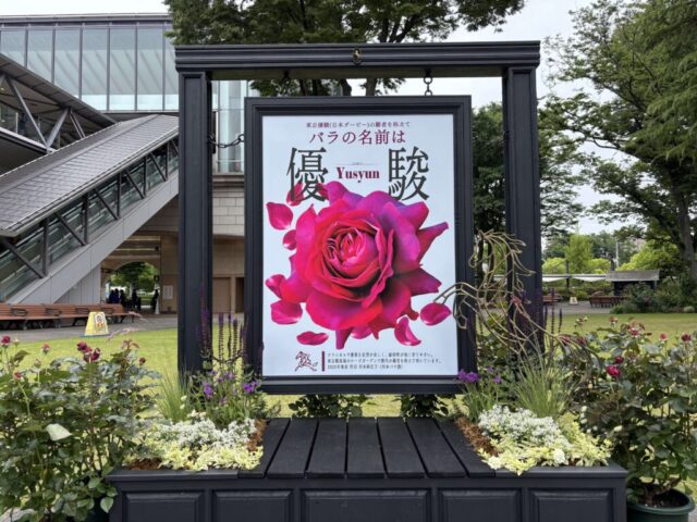 ローズガーデン③(東京競馬場)