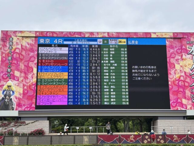 パドック③(東京競馬場)