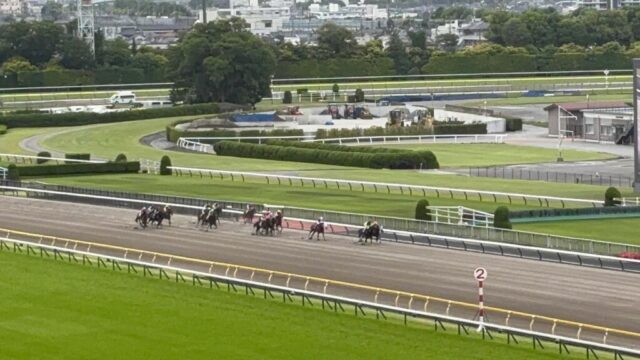 第11R 欅ステークス 1,400メートル(ダート)→「直線」