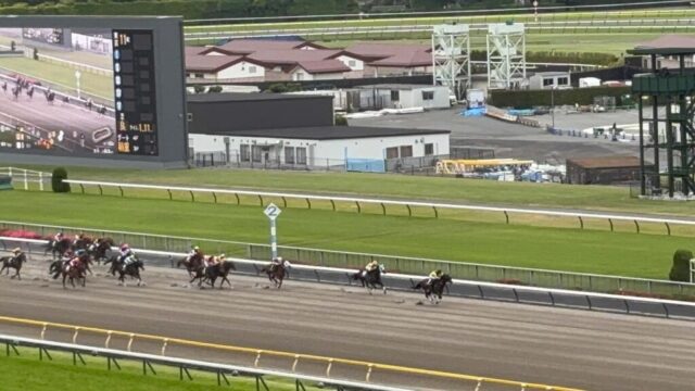 第11R 欅ステークス 1,400メートル(ダート)→「直線」②