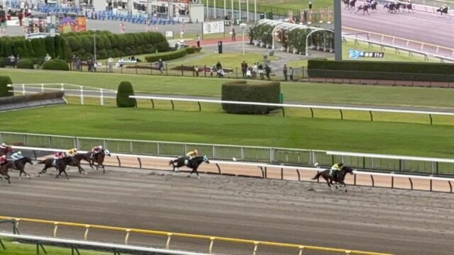 第11R 欅ステークス 1,400メートル(ダート)→「直線」③