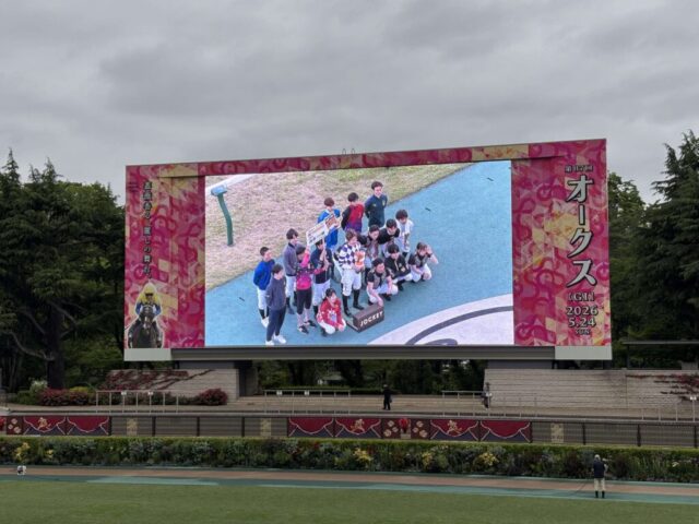 パドック④(東京競馬場)