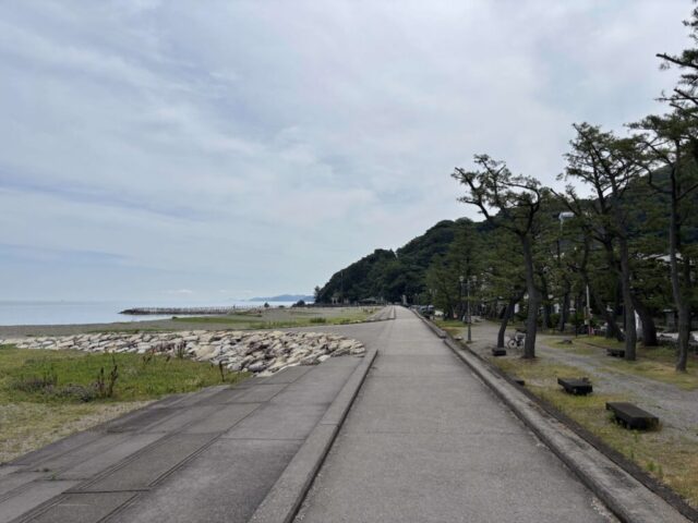 防波堤(参道)