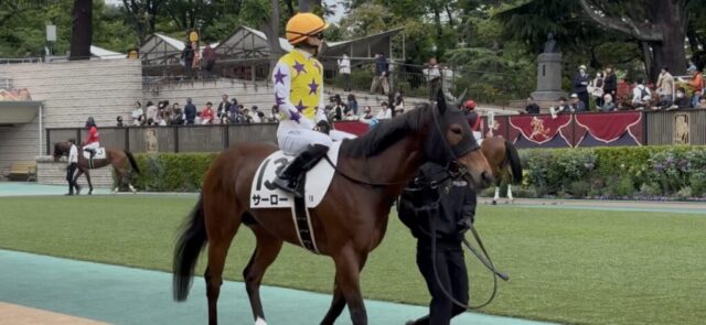 パドック 1R②(東京競馬場)