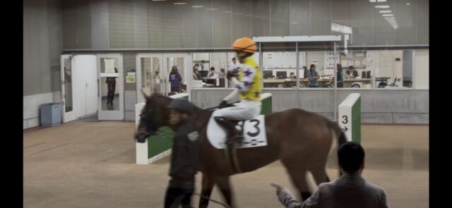 検量室前 (東京競馬場)