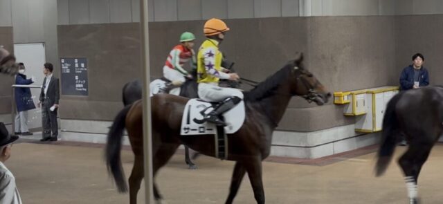 検量室前 ②(東京競馬場)