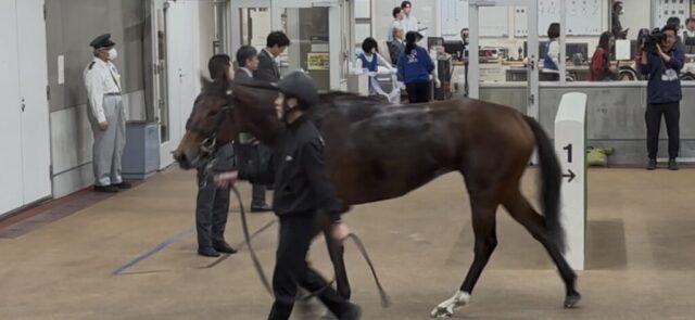 検量室前 ③(東京競馬場)